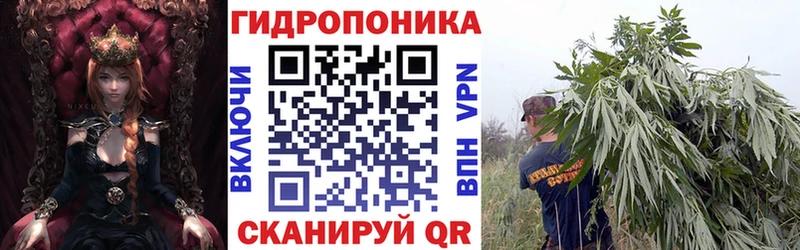 Бошки Шишки Amnesia закладка блэк спрут Межгорье